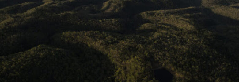 Ozark Drones