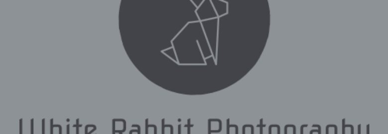 White Rabbit Photography