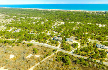 Aerial Hamptons