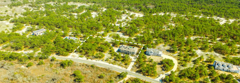 Aerial Hamptons