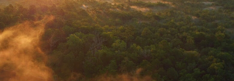 Vimana Aerial Solutions