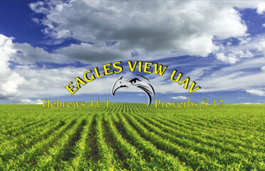 Eagles View UAV