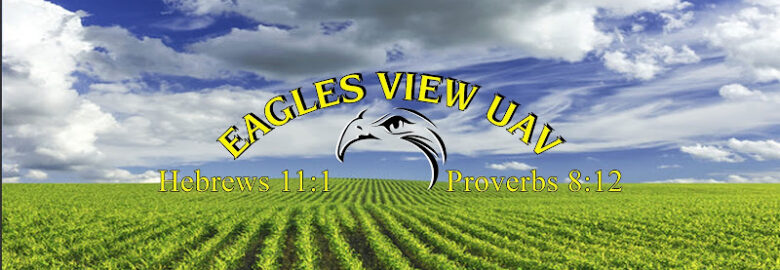 Eagles View UAV