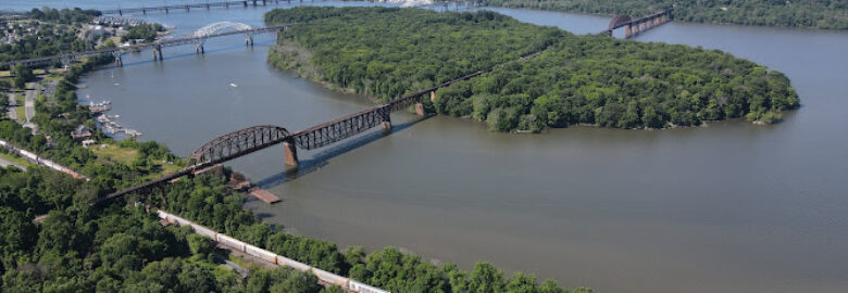 AVP Drone Services