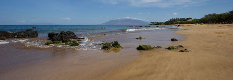Maui Zoom Photography