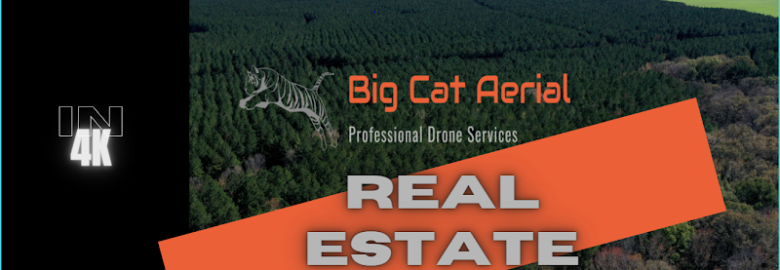 Big Cat Aerial