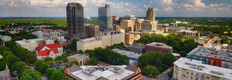 The Raleigh Drone Company
