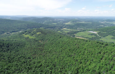 Accurate Aerial Imaging Services, LLC