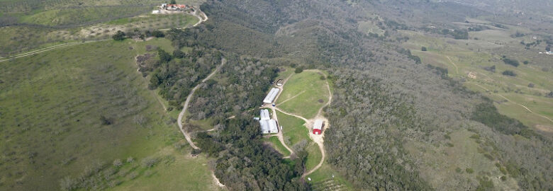 805 Aerial