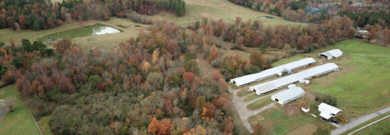 DBR Drone Services