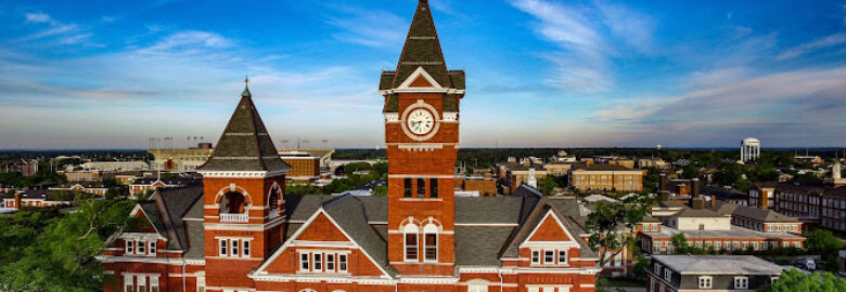 Bird’s Eye Photography & Videography