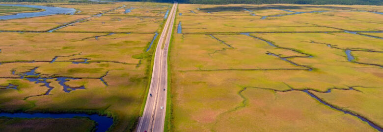 Palmetto Aerial Imagery