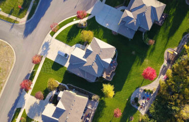 Birdlike Drone Solutions