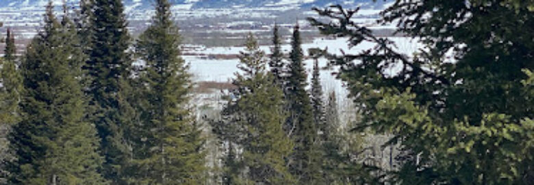 Teton Valley Drone Services