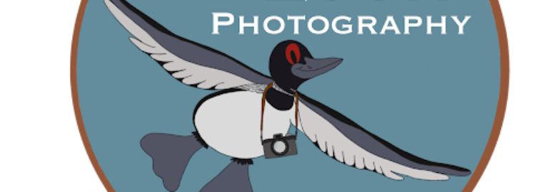 Flying Loon Photography