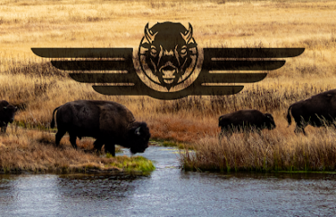 Bison Media Co.