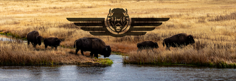 Bison Media Co.