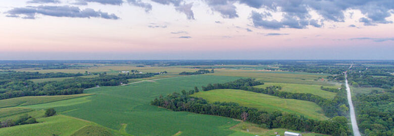 First Aerial