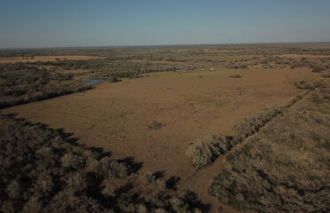 Aerial Photography of Texas