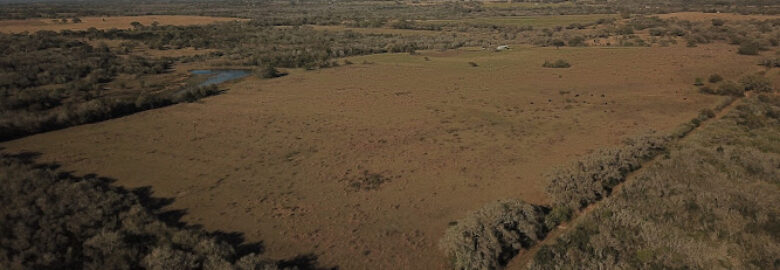 Aerial Photography of Texas