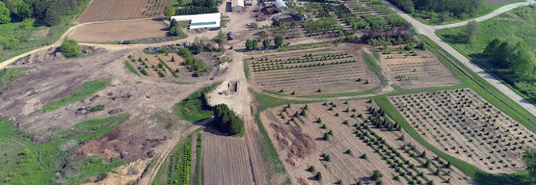 Eagle Drones, LLC