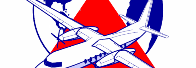 Aerial Surveys International