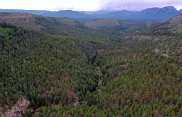Williams Aerial Videography Productions