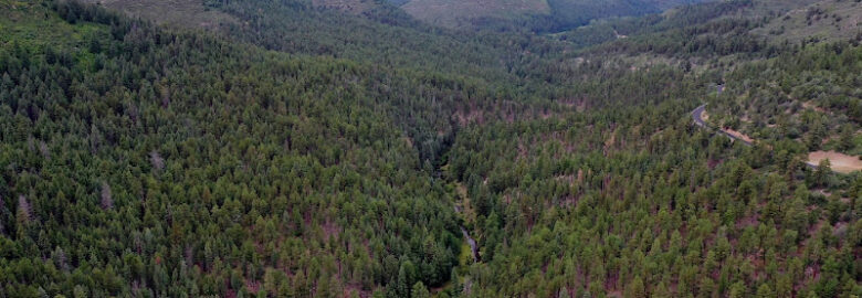 Williams Aerial Videography Productions