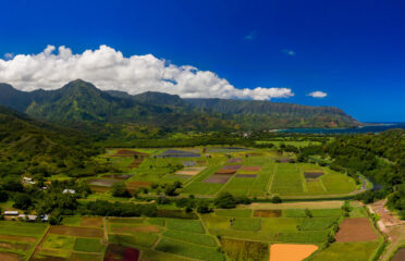 kauai home photography