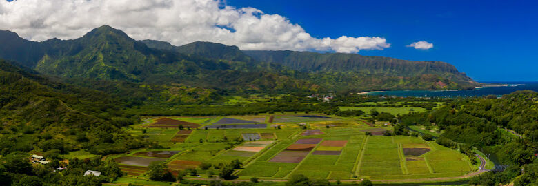 kauai home photography