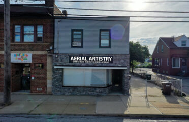Aerial Artistry Drone Services