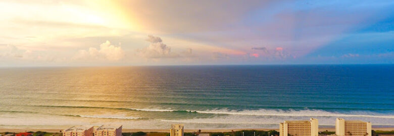 Life Like View