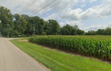 Blue River Drone Services