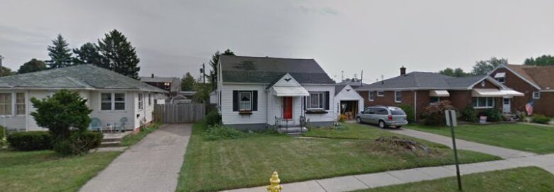 Buffalo Drone Photohraphy